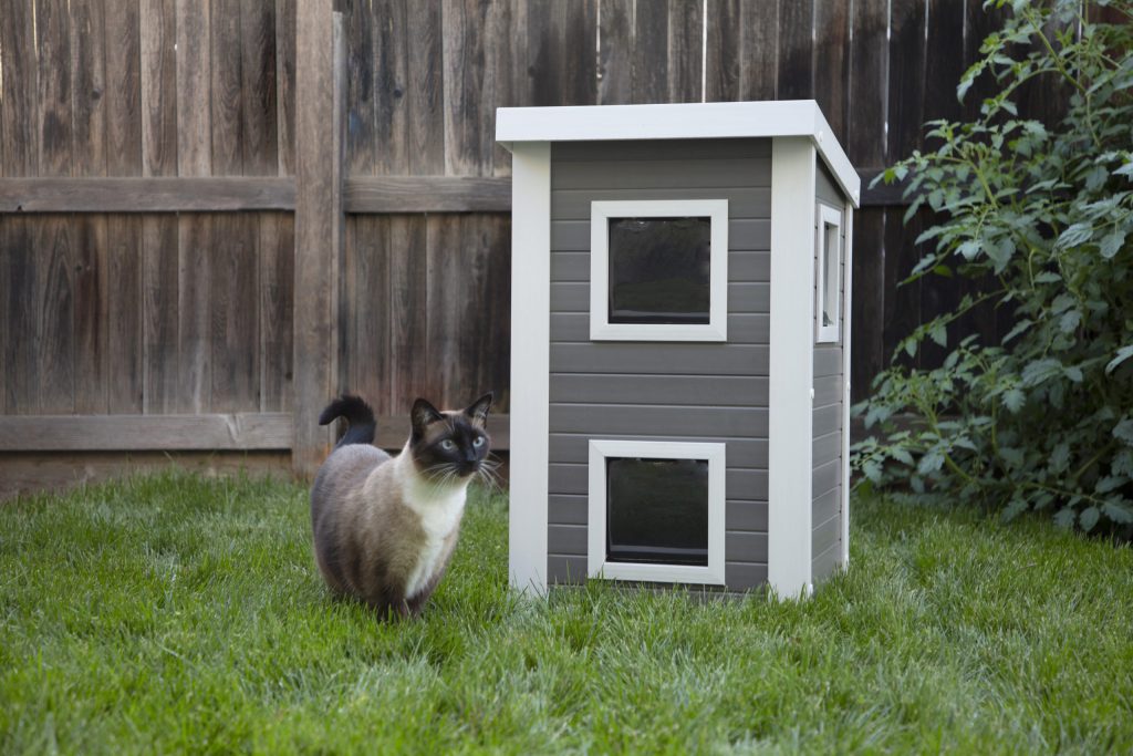 Cat House