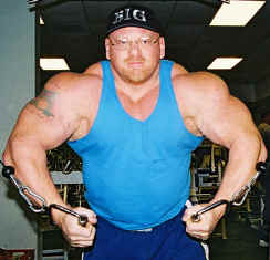 Muscle Growth Supplements