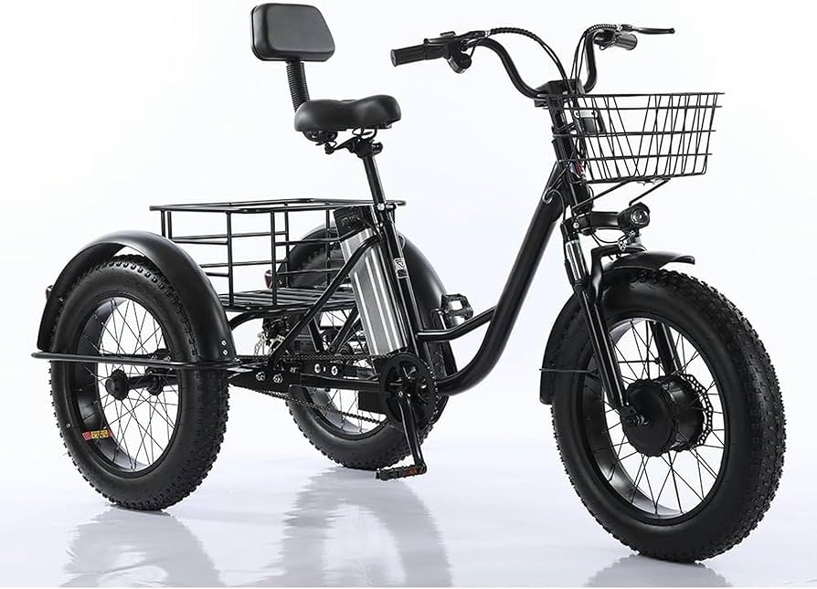 Electric Tricycle
